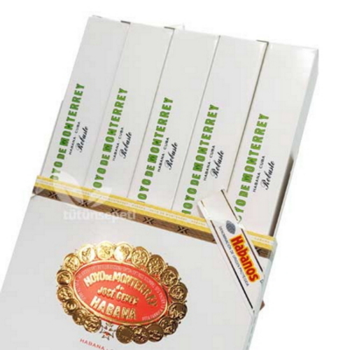 Hoyo de Monterrey Robusto 5li puro kutusu
