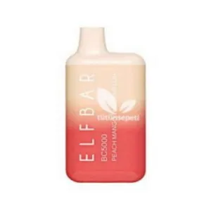 Elf Bar BC5000 Peach Mango Watermelon Puff