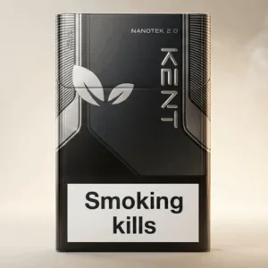 Kent Nanotek 2.0 Silver ithal sigara