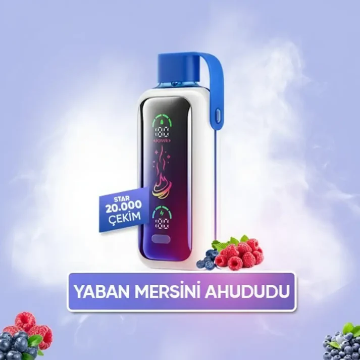 Vozol Star 20000 Puff – Blueberry Storm