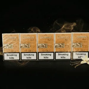 Chapman Vanilla No 2 - 1 Karton